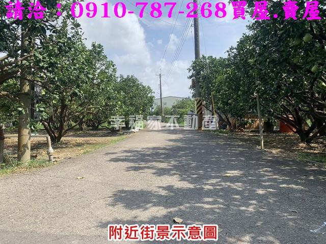 麻豆農地-5