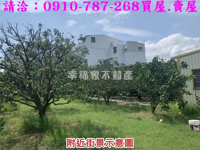 麻豆農地-6
