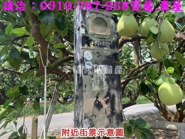 麻豆農地-9