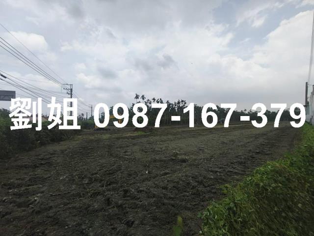屏東農地-1