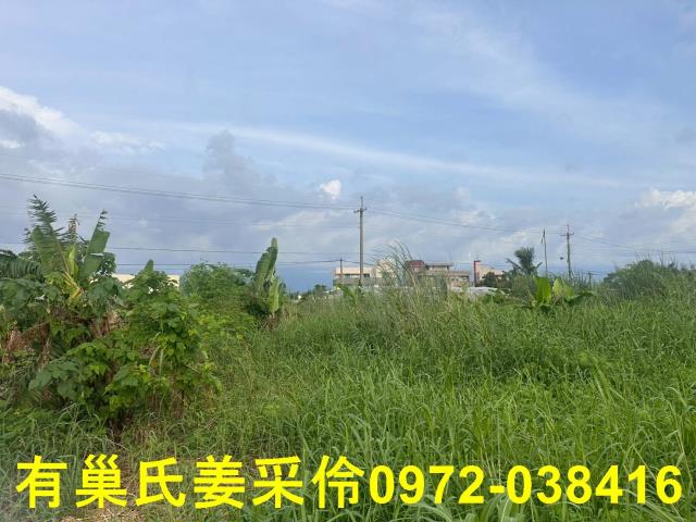 嘉義農地-11