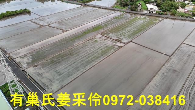 嘉義農地-10