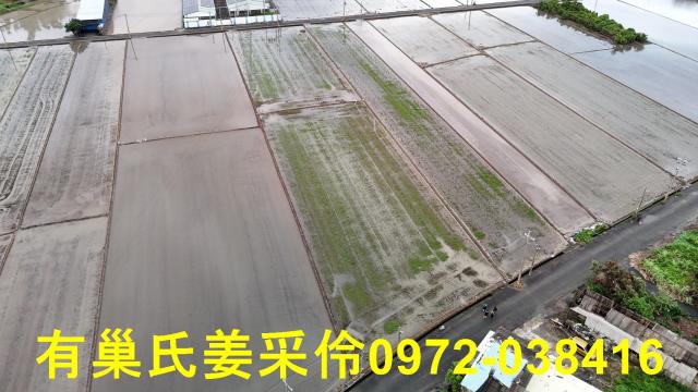 嘉義農地-12
