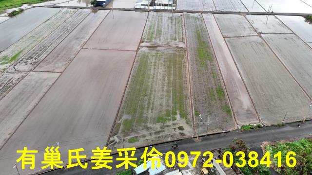 嘉義農地-1