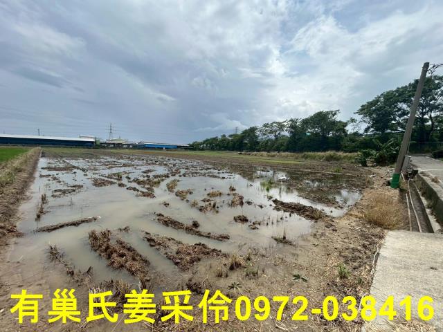 嘉義農地-8