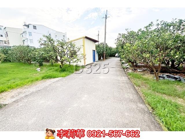台南麻豆農地-3
