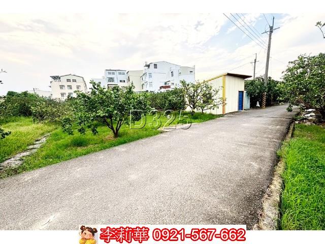 台南麻豆農地-4