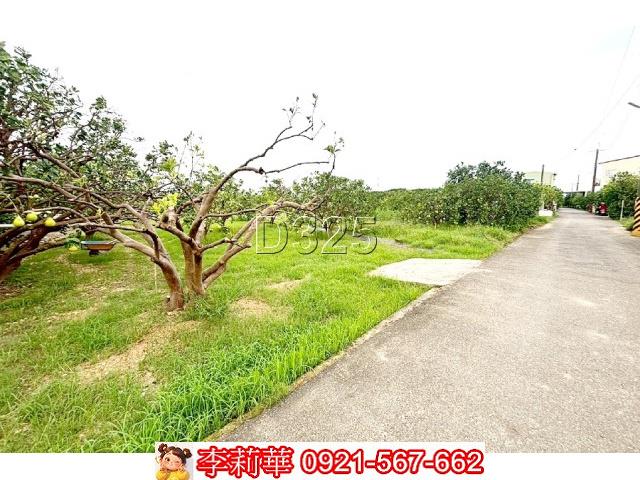 台南麻豆農地-7