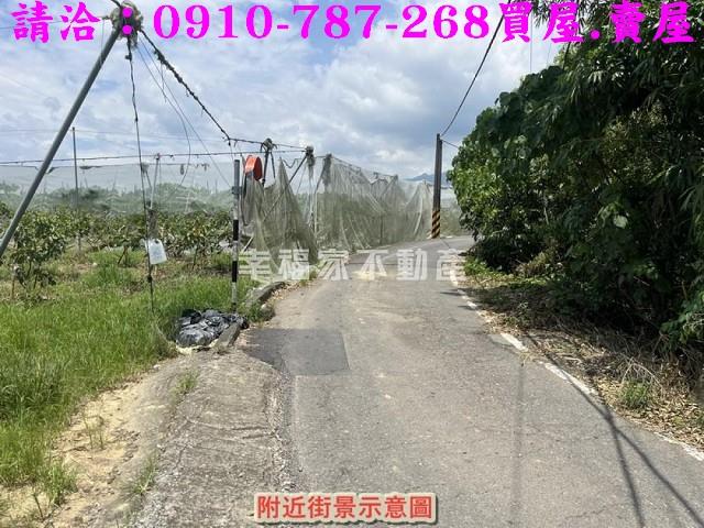 台南楠西農地-1