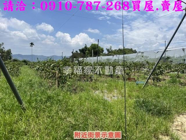 台南楠西農地-3