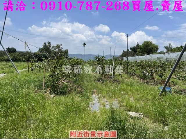 台南楠西農地-4