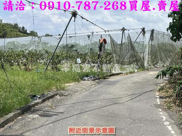 台南楠西農地-9
