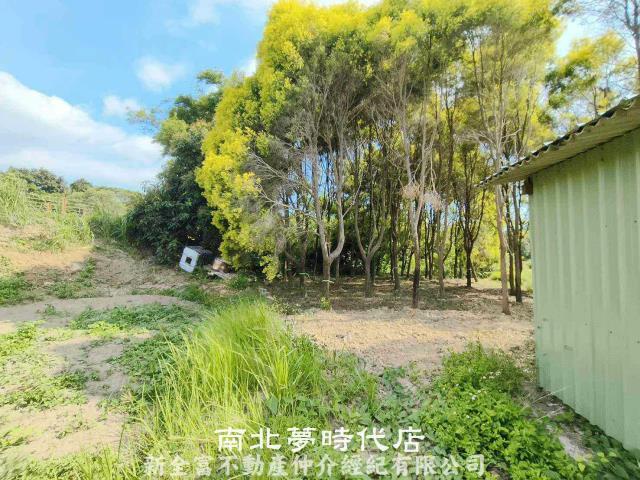 台南六甲農地-3