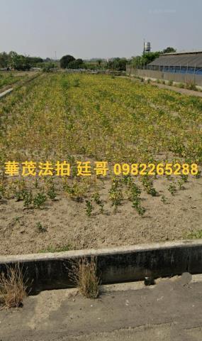 台南後壁拍賣農地-4