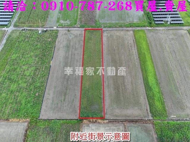 台南善化農地-3
