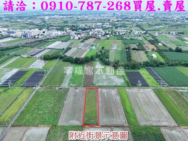 台南善化農地-5