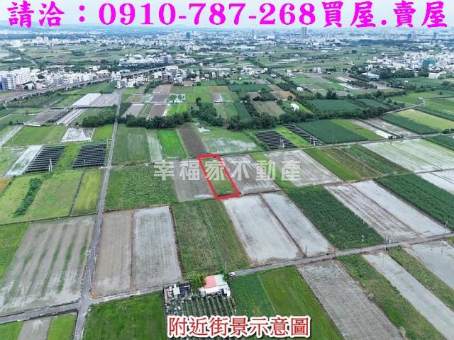 台南善化農地-6