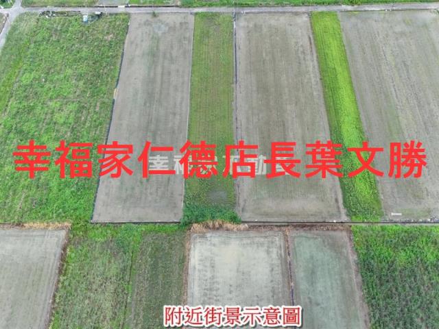 台南善化農地-11