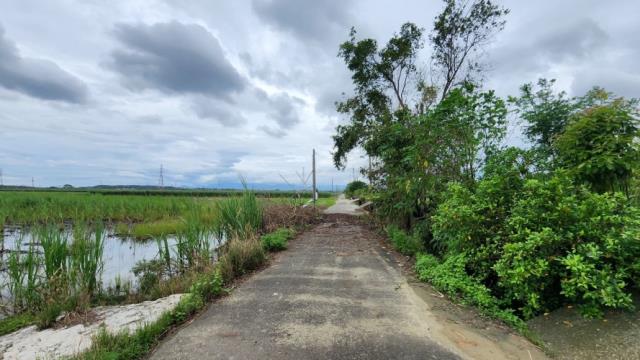 善化農地-7