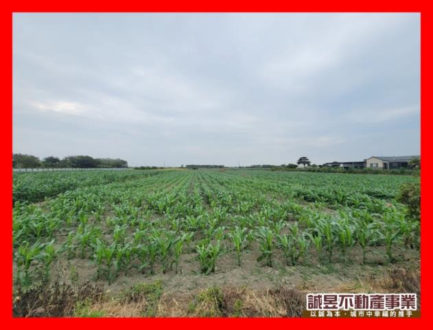 台南佳里農地-1