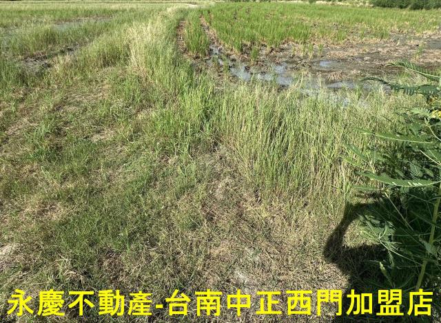 台南仁德農地-3