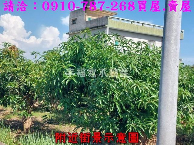南區農地-3
