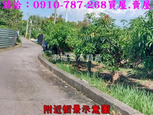 南區農地-5