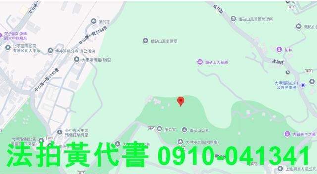 台中大甲法拍墳墓用地-14