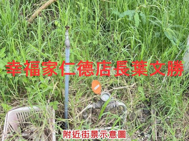 麻豆農地-13