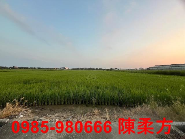 鹿草農地-7