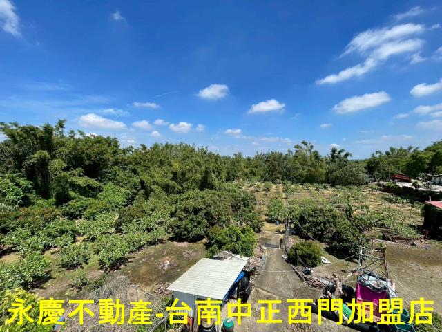 台南山上農地-15