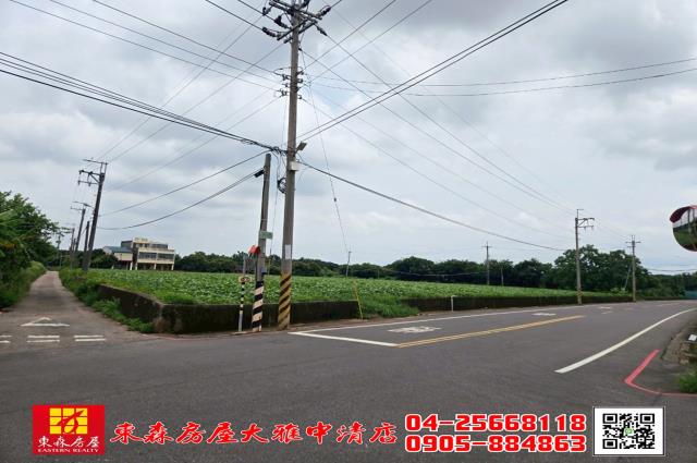 清水農地-2