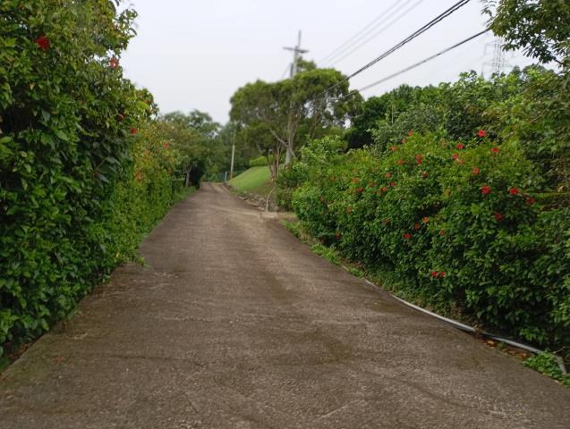 苗栗頭份農地-2