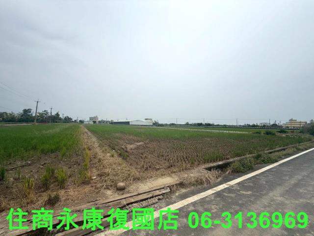 台南新營農地-4