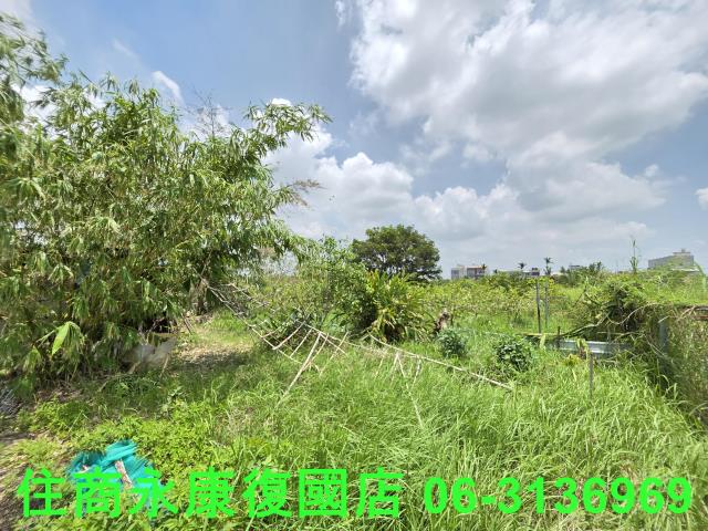 六甲農地-7