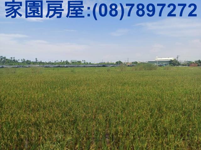 南州農地-2