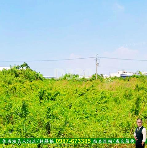 台南農地-5