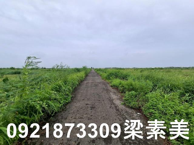台南七股農地-8