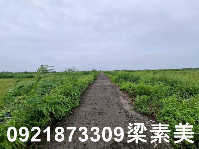 台南七股農地-9