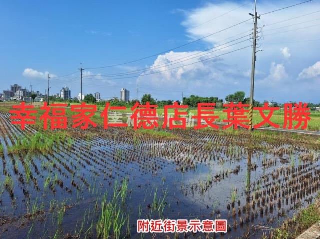 台南善化農地-2