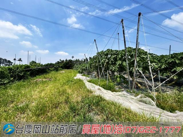 屏東新埤農地-10