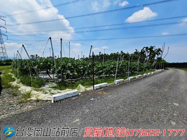 屏東新埤農地-11