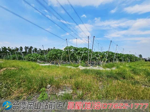 屏東新埤農地-13