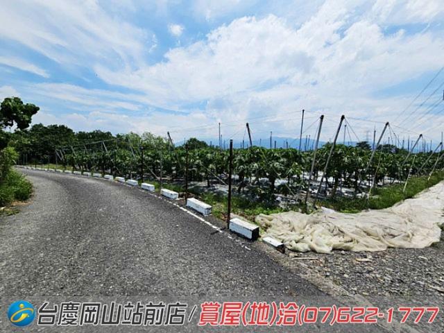 屏東新埤農地-4