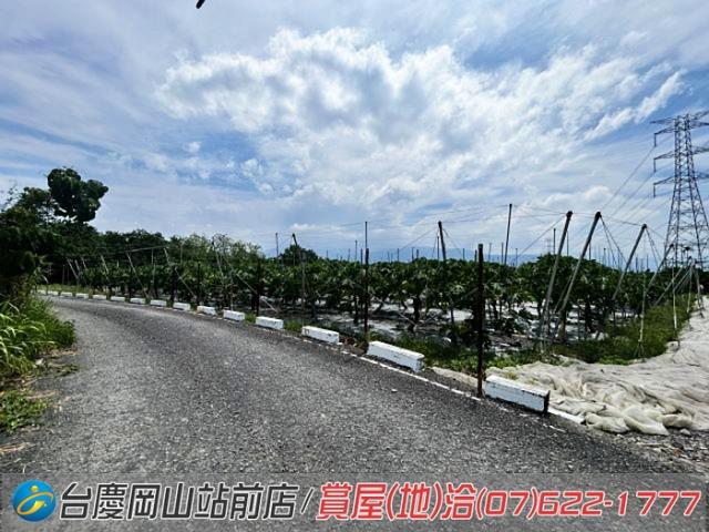 屏東新埤農地-5