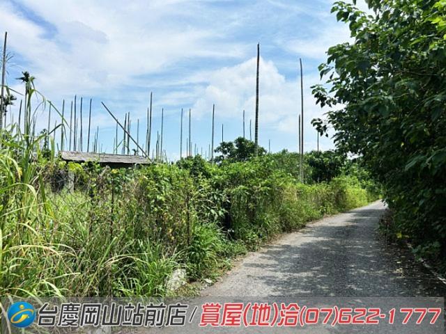 屏東新埤農地-7