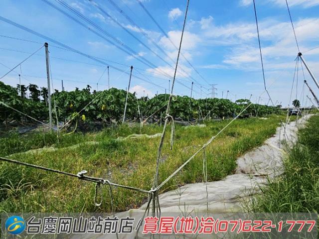 屏東新埤農地-8