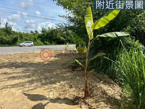 台南新化農地-1