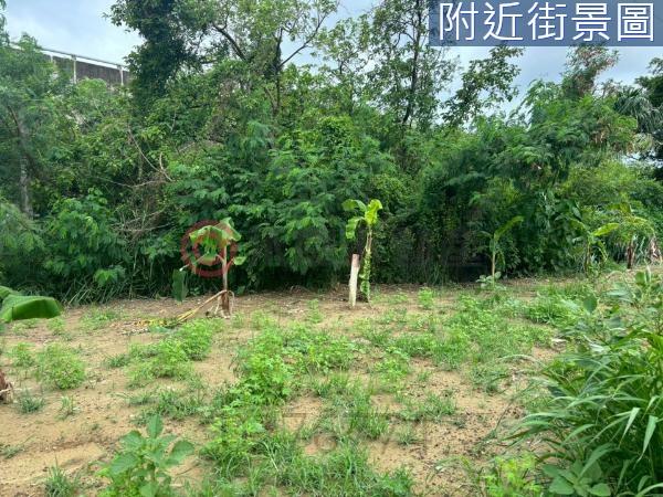 台南新化農地-2