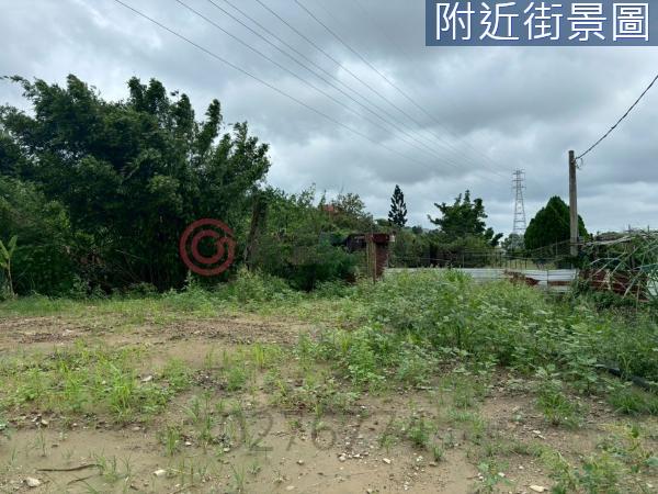 台南新化農地-3
